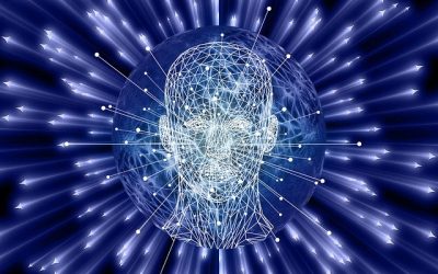 Biología celular básica: El cerebro:  ¿ovarios y  testículos?