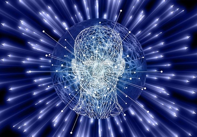 Biología celular básica: El cerebro:  ¿ovarios y  testículos?